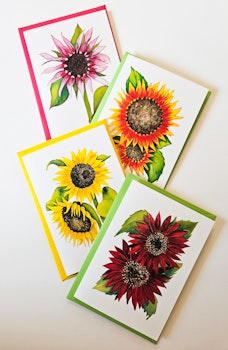 Solroskort (4 pack)