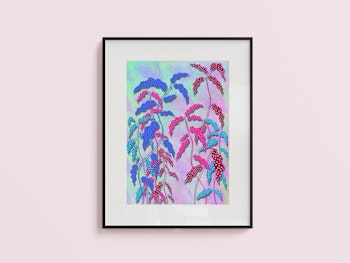 Begonia (lila)