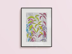 Begonia (grå)