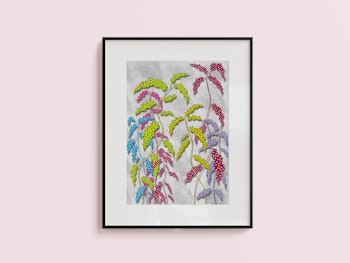 Begonia (grå)