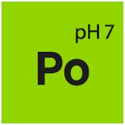 Interiörrengöring Po Pol Star, 5 Liter