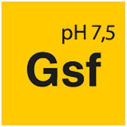 Förtvätt schampo Gsf Gentle Snow Foam, 1 Liter