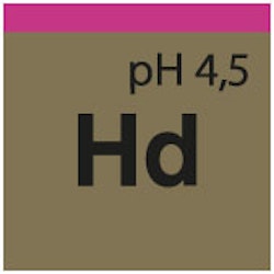 Torskstöd proffs & Automattvätt Hd Hyper Dryer, 10 Liter