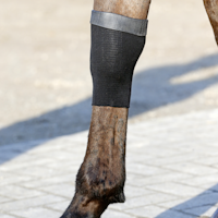 Kentucky Tendon Grip Gel
