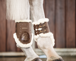 Kentucky Sheepskin Fetlock Boots Elastic