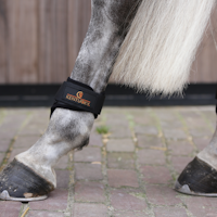 Kentucky Young Horse Fetlock Boots