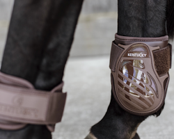 Kentucky Young Horse fetlock boots color
