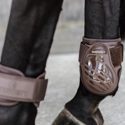 Kentucky Young Horse fetlock boots color