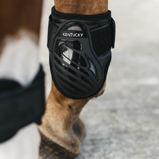 Kentucky Young Horse fetlock boots color