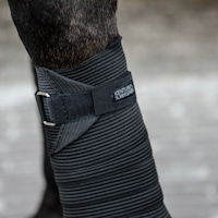 Kentucky  Elastic Bandage