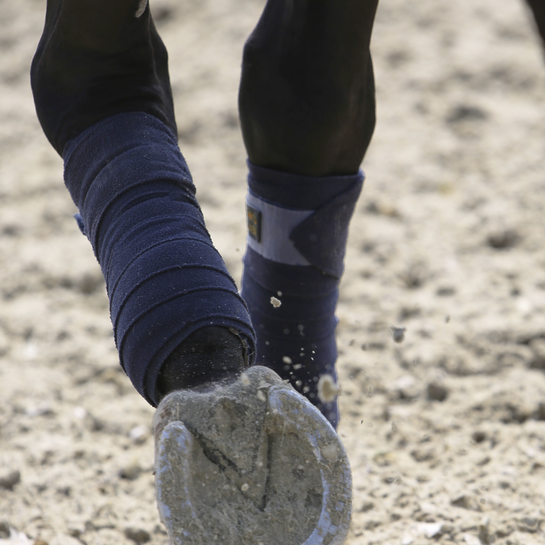 Kentucky Polar Fleece Bandages