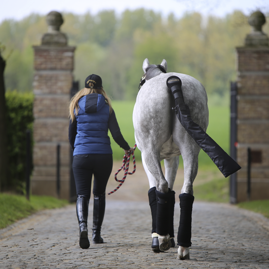 Kentucky Wool Bandages