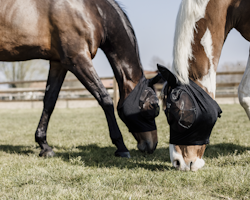 Kentucky Fly Mask Slim Fit