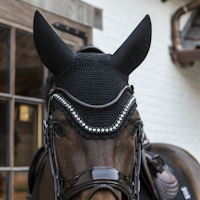 Kentucky Wellington Big Stone Stone & Pearl Soundless