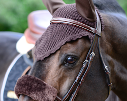 Kentucky Fly Veil