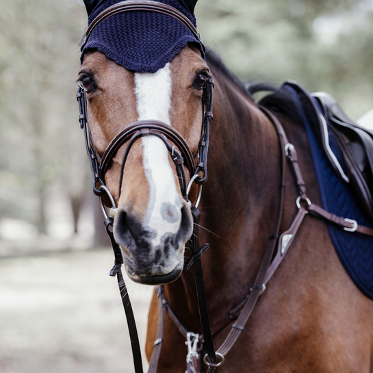 Kentucky Fly Veil