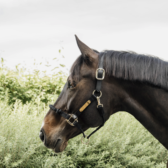 Kentucky Control Halter Neck Piece