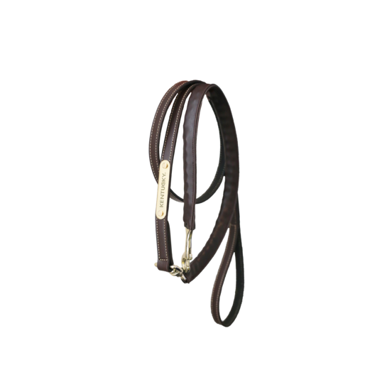 Kentucky Leather Covered Chain Lead 270CM