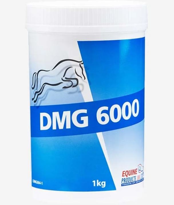 Equine DMG 6000