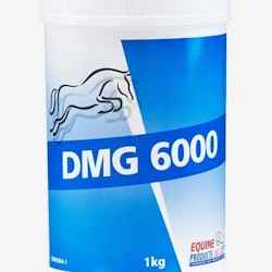 Equine DMG 6000