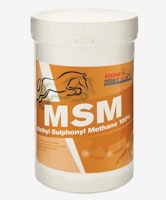 Equine - MSM