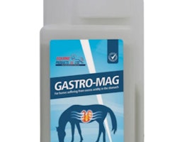 Equine Gastro Mag