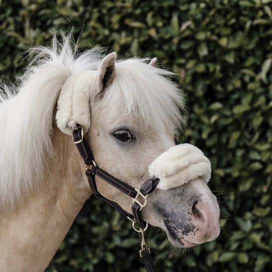 Kentucky Leather Halter Sheepskin