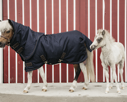 Kentucky Turnout Rug All Weather Waterproof Pro Tiny