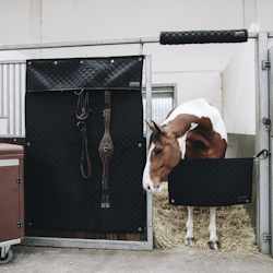 Kentucky Stable Guard