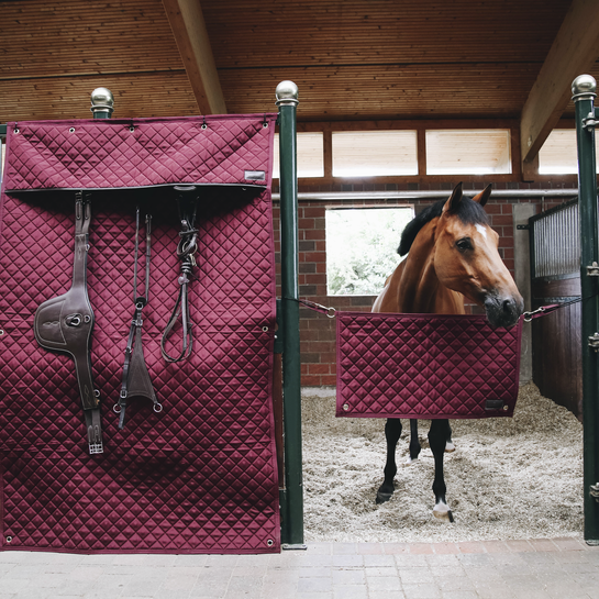 Kentucky Stable Guard