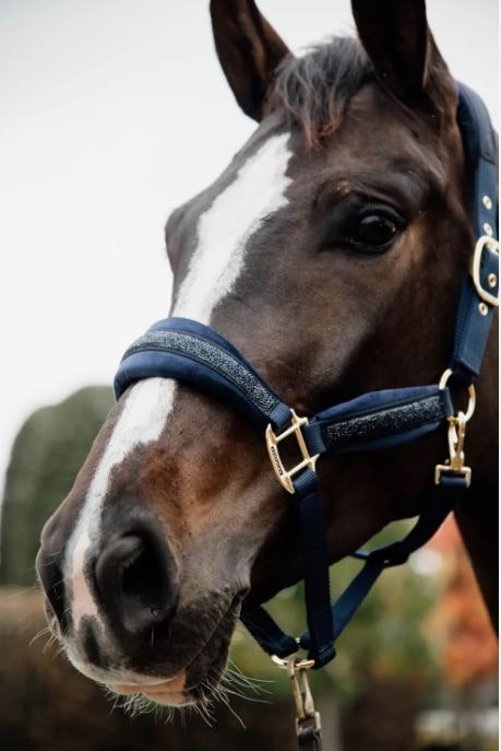 Kentucky Glitter Stone halter