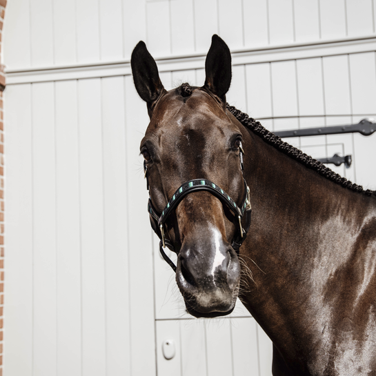 Kentucky Pearl Halter