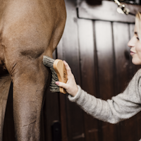 Grooming Delux Mellanhård Borste