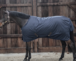 Kentucky Turnout Rug Hurricane 150g