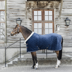 Kentucky Show Rug Velvet 160g