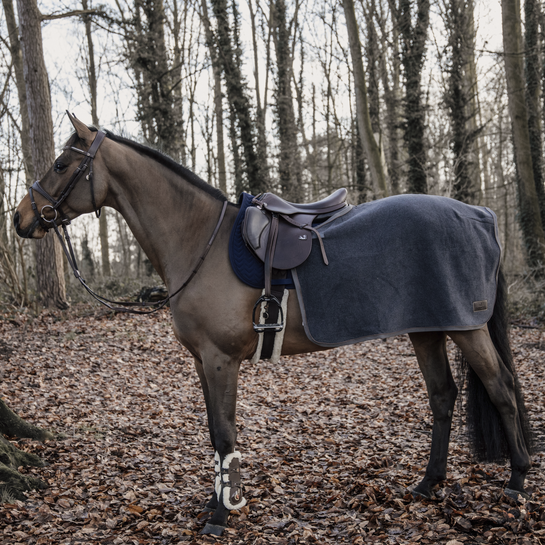 Kentucky Quarter Heavy Fleece