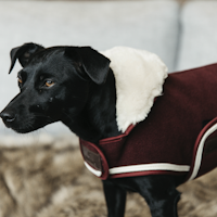 Kentucky Hundtäcke Heavy Fleece