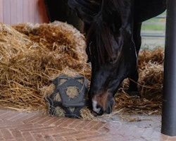 Kentucky Relax Horse Play & Hay Ball