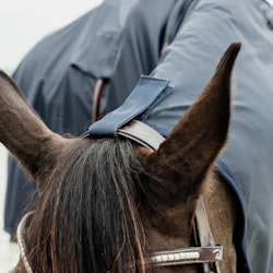 Kentucky Horse Raincoat Hurricane med hål för stigbyglarna