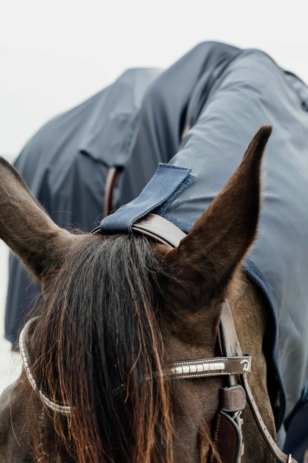 Kentucky Horse Raincoat Hurricane med hål för stigbyglarna