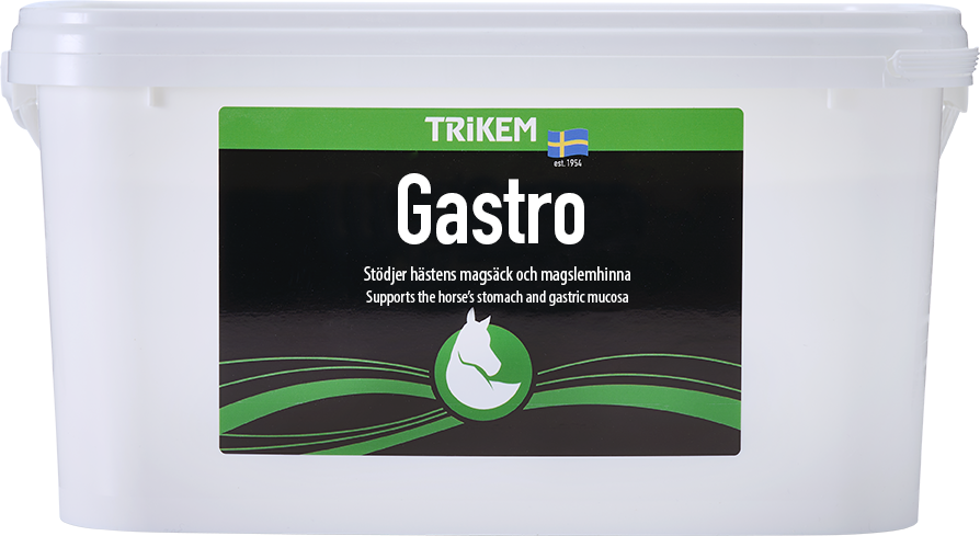 Trikem Gastro 3000 g