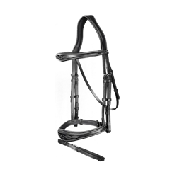 Dyon Träns Anatomic Flash Nosgrimma U