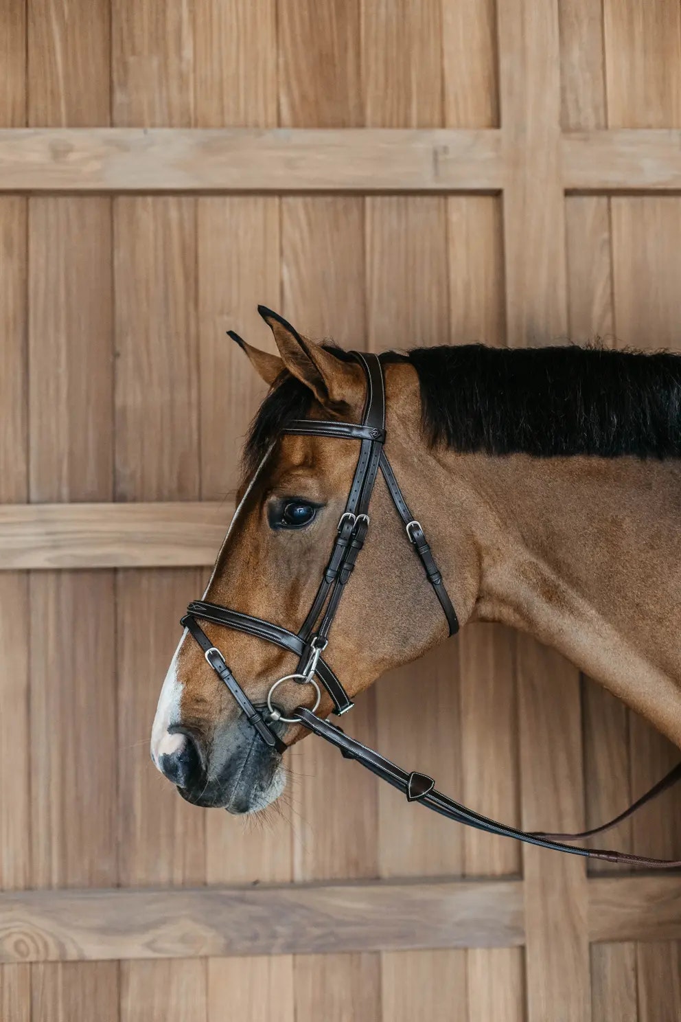 Dyon Träns med clips, slät kombinerad nosgrimma W