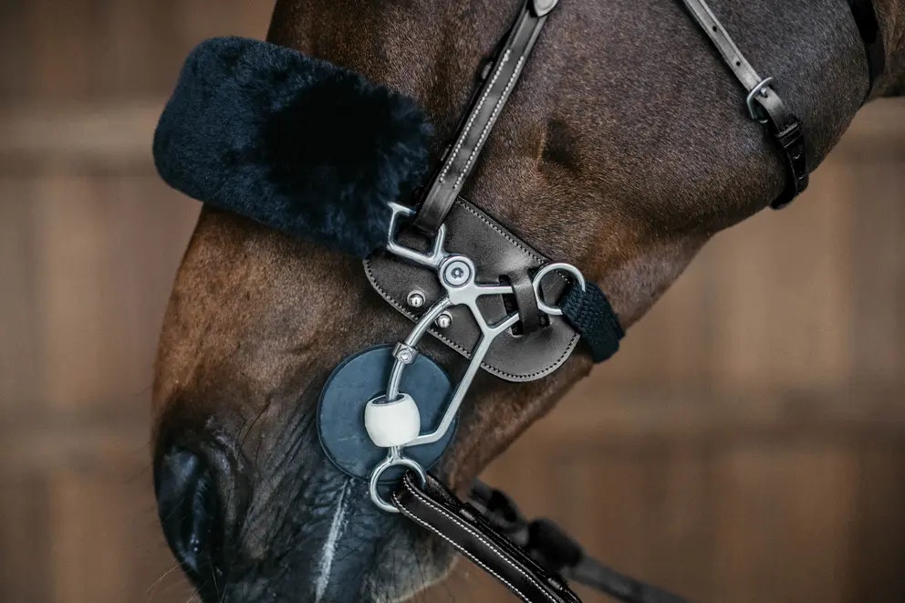 Dy'on  Hackamore skydd