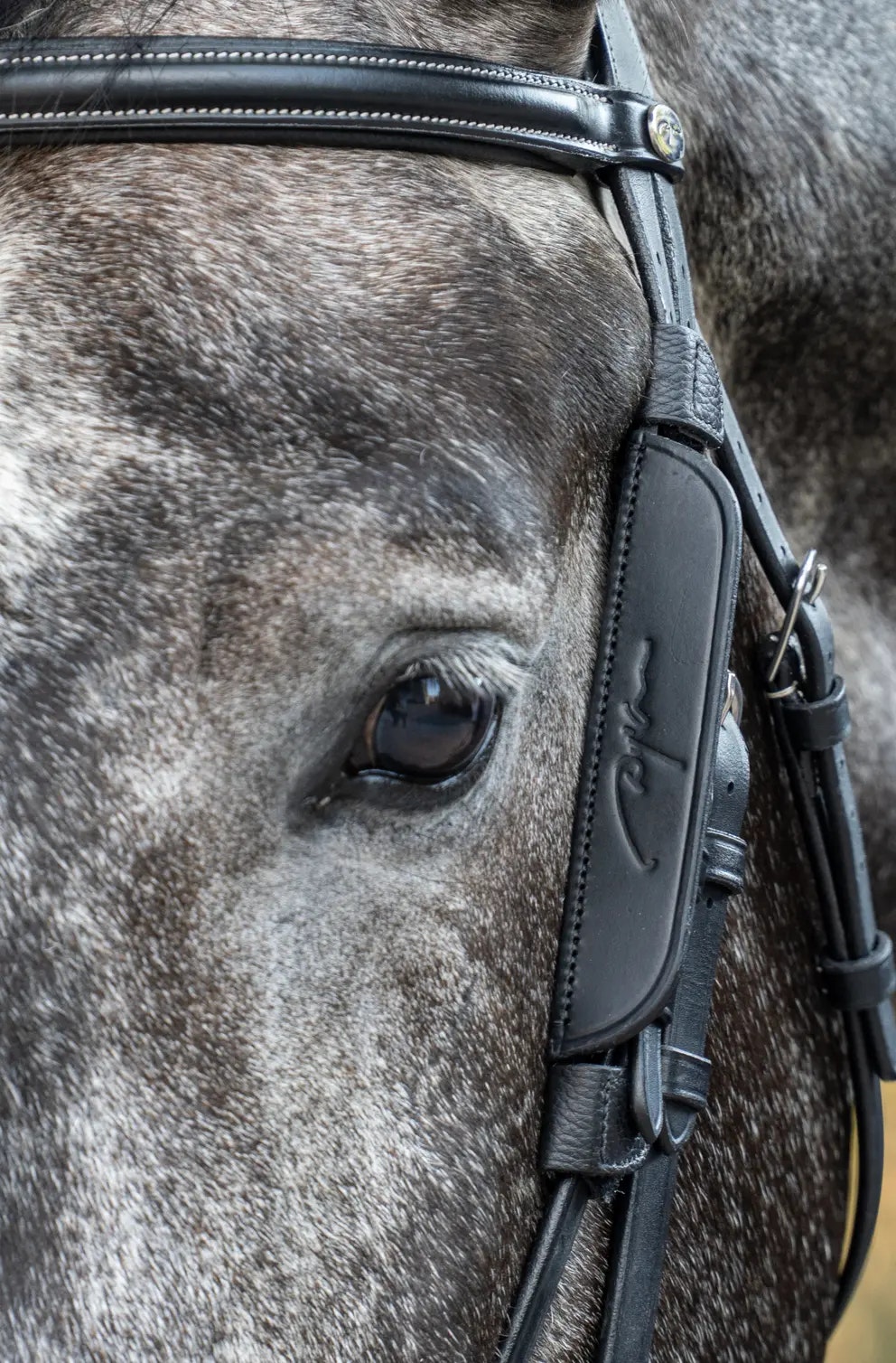 Dy'on Blinkers W