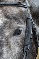Dy'on Blinkers W