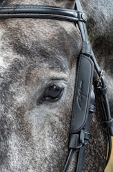 Dy'on Blinkers W