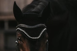 Dyon Svart Swarovski V-formad pannband N