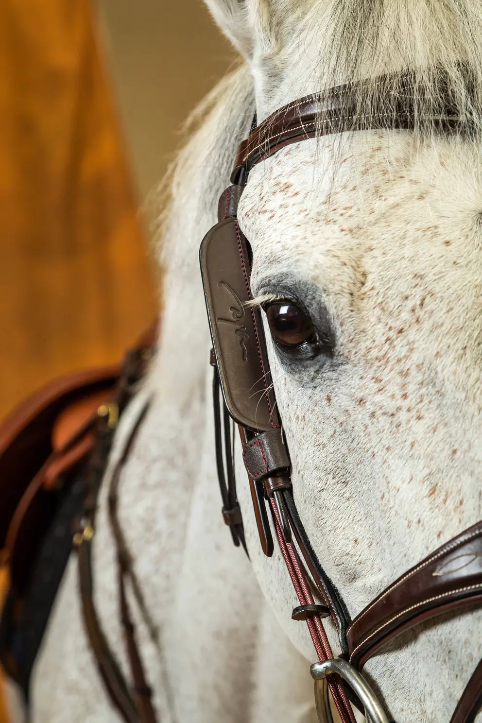 Dy'on Blinkers W