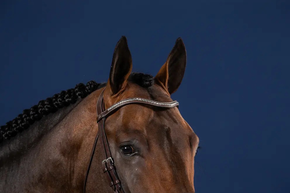 Dyon Silver Clincher V-Shaped Browband U